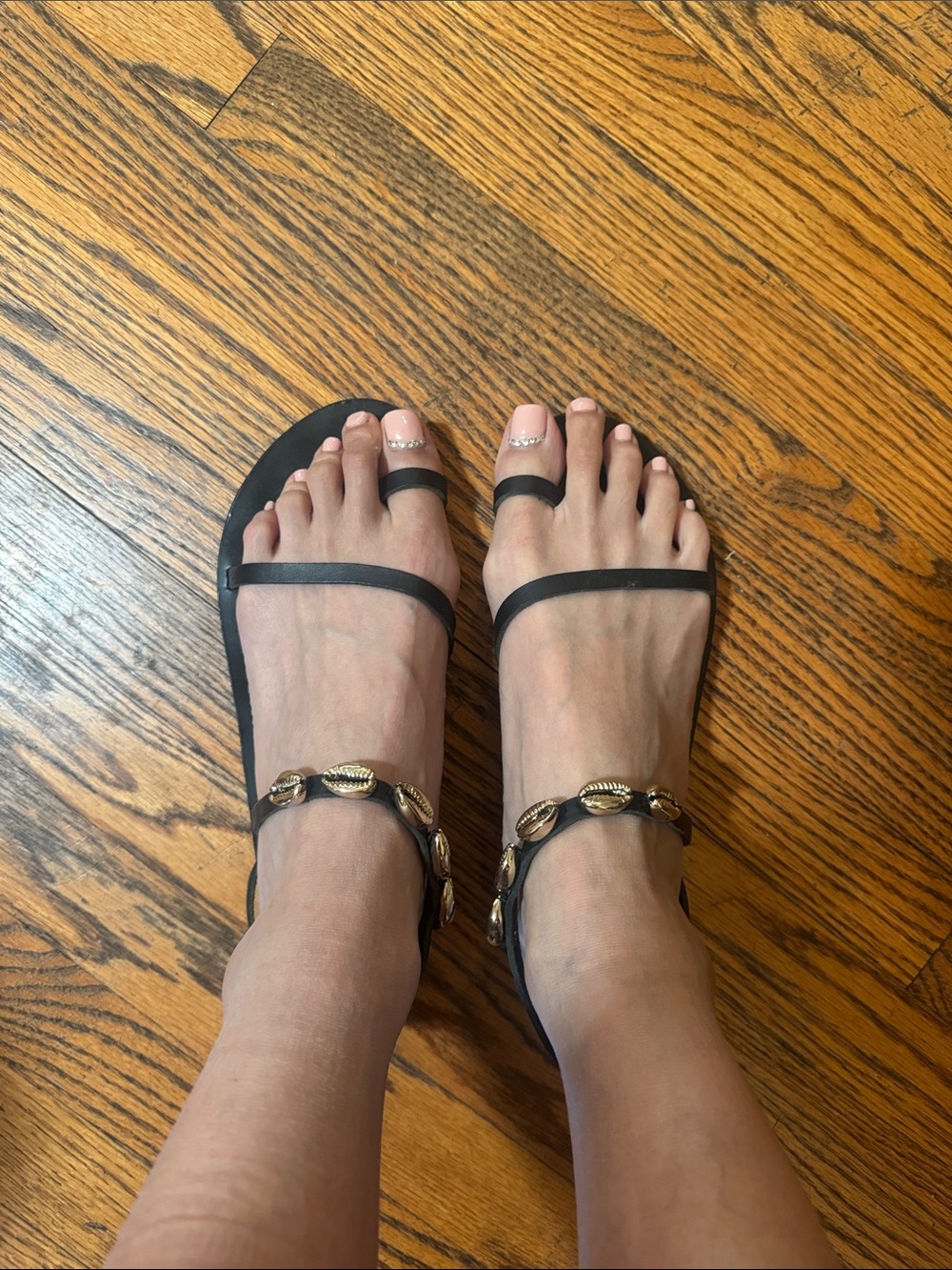 Ancient Greek Sandals Black Leather Shell-Embellished Strappy Sandals